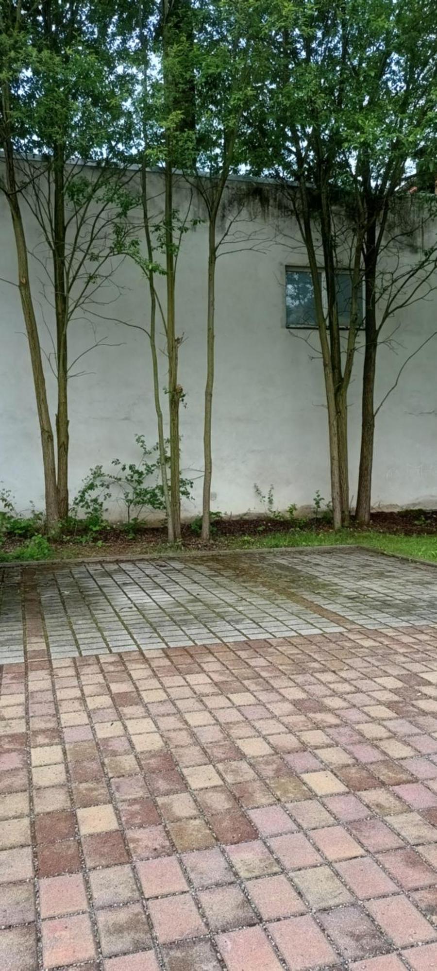 *neu*family&work*wlan*ntflx*cozy*zentrum*toplage Apartment *